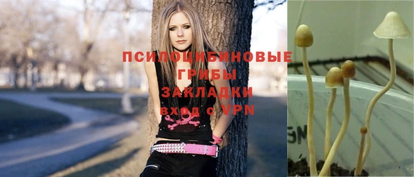соль ск Алексин