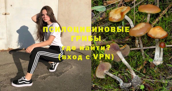 бошки Арсеньев