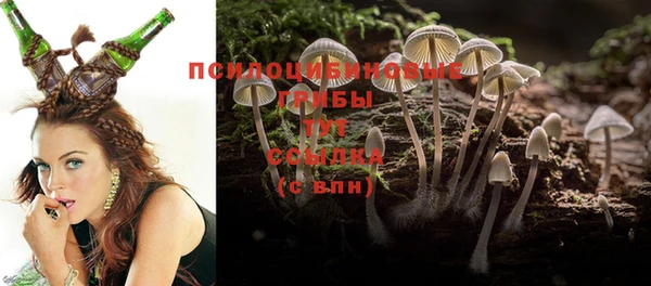 бошки Арсеньев