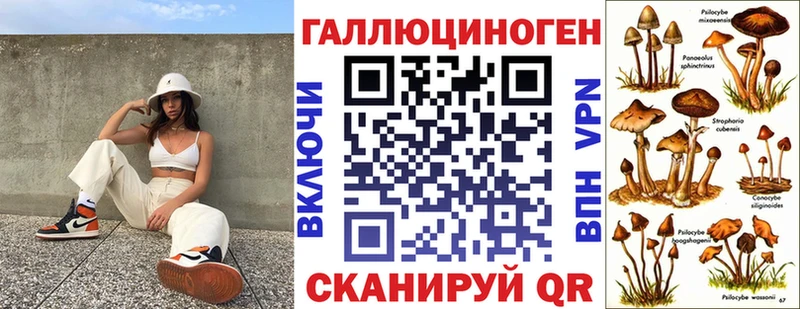 Галлюциногенные грибы Psilocybe  купить наркотики цена  Болхов 